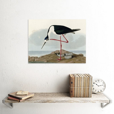 Unframed Wall Art Audubon Birds Long Leg Avocet Painting - 12X16 inch