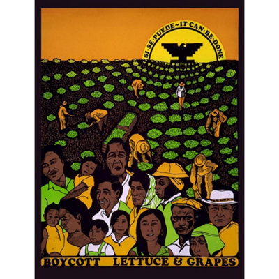 Unframed Wall Art Political United Farm Workers Grape Lettuce Boycott ...