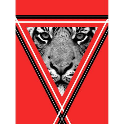 Unframed Wall Art Triangle Tiger Red - 12X16 inch
