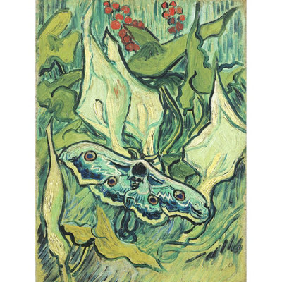 Unframed Wall Art Vincent Van Gogh Emperor Moth - 12X16 inch