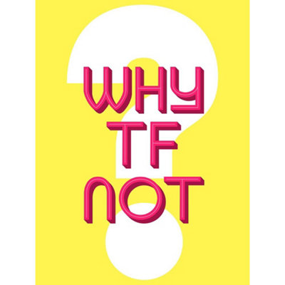 Unframed Wall Art Why Tf Not Question - 12X16 inch