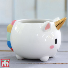 Unicorn Pot with Gold Horn - 2 Pots