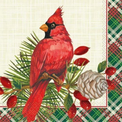 Unique Party Cardinal Christmas Disposable Napkins (Pack of 16) Red/Green/White (One Size)