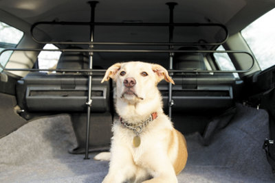 Universal Dog Guard for Car - Adjustable Pet Barrier