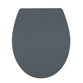 Universal Grey Thermoplastic Soft Close Toilet Seat with Quick Release Hinges