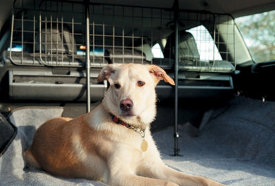 Universal Mesh Dog Guard for Car - Adjustable Pet Barrier