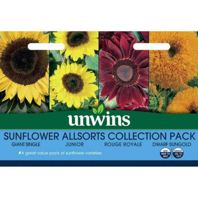 Unwin Flower Seeds Sunflower Allsorts Collection