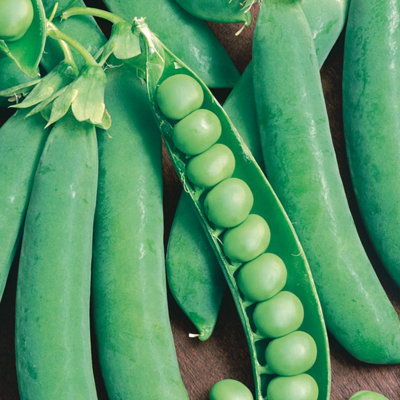 Unwins Vegetable Seeds Pea Alderman