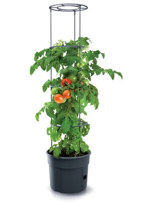 URBN GARDEN Height 300mm Tomato Grower Tower Plastic Home Indoor/Outdoor Plant Veg Flower Pot