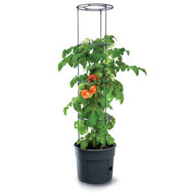 URBN GARDEN Height 300mm Tomato Grower Tower Plastic Home Indoor/Outdoor Plant Veg Flower Pot