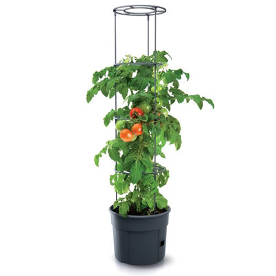 URBN GARDEN Height 350mm Tomato Grower Tower Plastic Home Indoor/Outdoor Plant Veg Flower Pot