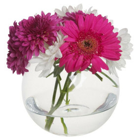 URBNLIVING 13cm Height Round Glass Flower Vase Fish Bowl Modern Home Floral Display Centerpiece Decor