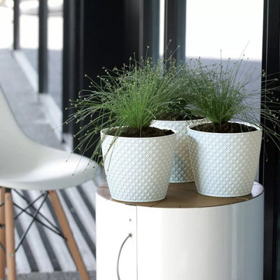 URBNLIVING 160mm Plastic Flower Plant Garden Indoor Outdoor Planter Herb Pots Cream Medium
