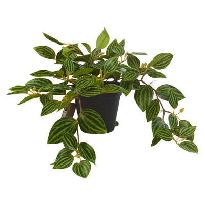 URBNLIVING 25cm Width Green Artificial Mini Tradescantia Plant in Pot Potted Fake Plastic Succulent Greens