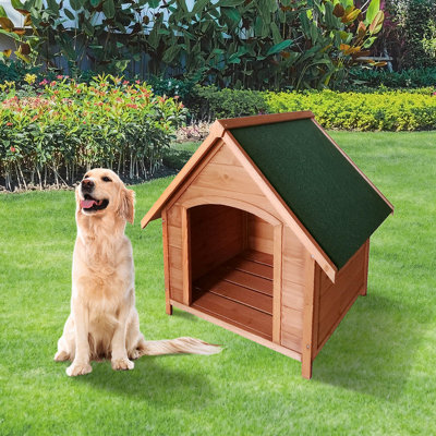 Kennel for small dogs near me best sale