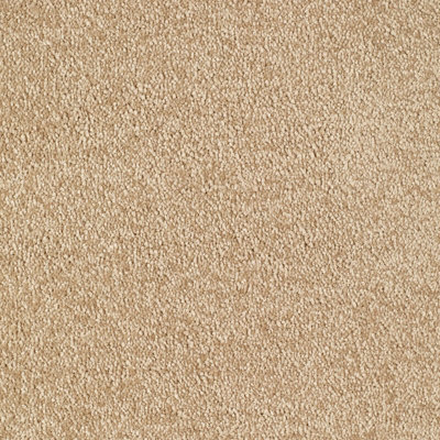 Valentine Bleach Cleanable Cut Pile Carpet by Remland (Sandy