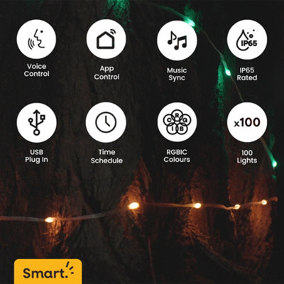 ValueLights 10M Smart RGBIC LED Fairy Strings Lights, IP65 Waterproof, WiFi Garden Lights with App Control and Music Sync