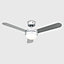 ValueLights 42" Silver Reversible Blade Ceiling Fan With Frosted Shade And Remote Control
