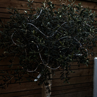 ValueLights LED Battery Operated Festive Outdoor 5M Warm White Strip Lights With Remote Control