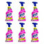 Vanish Pet Expert Oxi Action Stain Remover Spray 500ml - Pack of 6