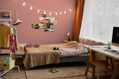Varied Red Matt Wall and ceiling paint - 1 litre