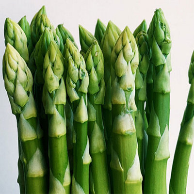 Vegetable Bumper Pack OF 10 Seeds - 3