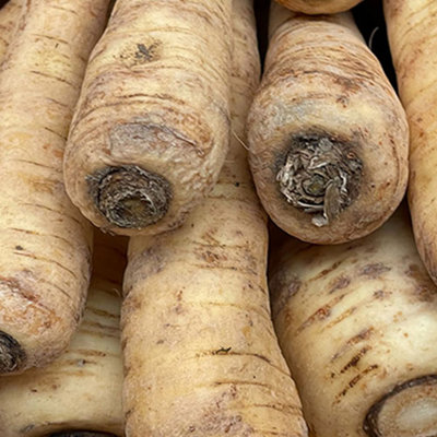 Vegetable Bumper Pack OF 10 Seeds - 4
