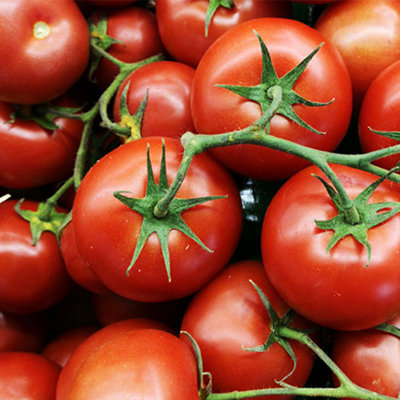 Vegetable Bumper Pack OF 10 Seeds - 6