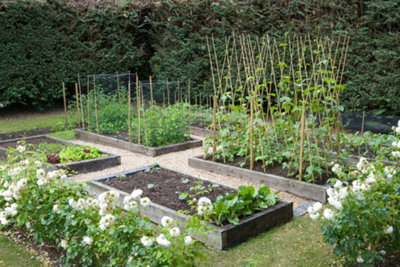 Raised vegetable beds surrounded by gravel, creating an organised, easy-to-maintain garden space for growing fruit and vegetables.