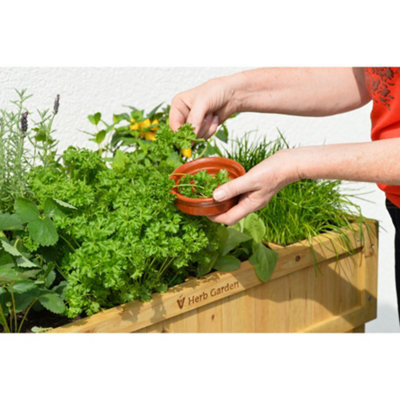VegTrug Raised Herb Garden Bed Wooden Planter FSC Cedar Natural  780mm x 580mm x 800mm