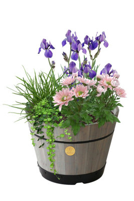 VegTrug Wooden Barrel Planter - Small Build-a-Barrel Kit Grey Wash