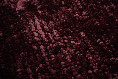 Velvet Chenille Bobble Bath Mat Non-Slip - Bordeaux