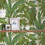 Versace Giungla Palm Leaves Wallpaper - Green and Cream - 96240-5 - 10m x 70cm