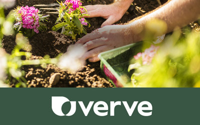 Life grows better with Verve. Shop our Verve range.