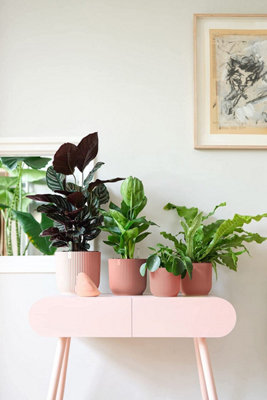 Vibes Fold Round Medium 16cm Plant Pot Indoor Home Decorative Flower Herb Planter Embossed Design Recycled Plastic Pink