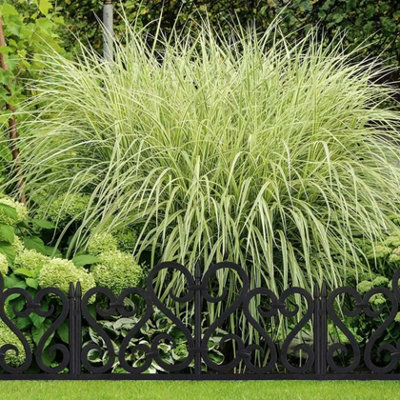 Victorian Style Fencing Garden Edging - Black - 3