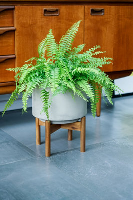 Vigo Concrete Grey Planter with Stand 28cm