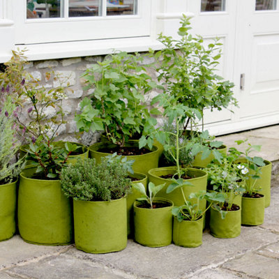 VIGOROOT 40 LITRE GROW BAGS IDEAL FOR POTATO & TOMATO COMPLETE WITH CARRY  HANDLES EASY STORAGE HEAVY DUTY GROWING BAGS