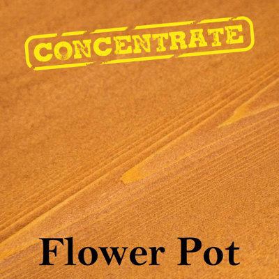 Village Green Wood Stain Concentrate Water Based, Eco Friendly