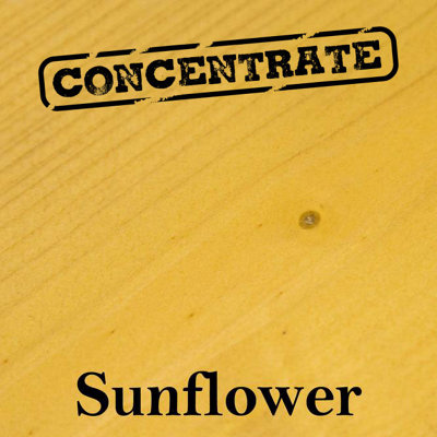 Village Green Wood Stain Concentrate Water Based, Eco Friendly