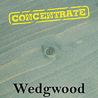 Village Green Wood Stain Concentrate - Water Based, Eco Friendly, Premium Quality (Wedgwood, 500ml)