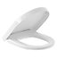 Villeroy & Boch Subway 2.0 Compact Soft Close Replacement Toilet Seat, White Alpin