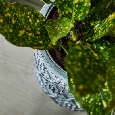 Vintage Embossed Trellis Design Small Flower Planter Indoor Outdoor Plant Pot (H) 15cm, (Dia)15cm