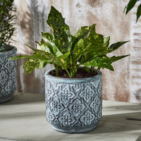 Vintage Embossed Trellis Design Small Flower Planter Indoor Outdoor Plant Pot