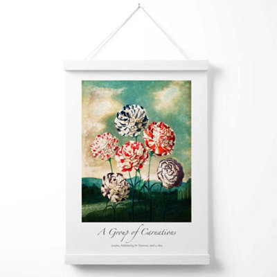 Vintage Floral Exhibition -  Carnation Flowers Poster with Hanger / 33cm / White