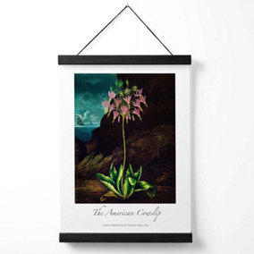 Vintage Floral Exhibition -  Cowslip Plant Medium Poster with Black Hanger