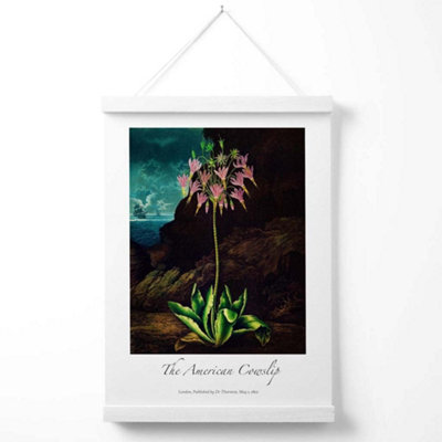 Vintage Floral Exhibition -  Cowslip Plant Poster with Hanger / 33cm / White