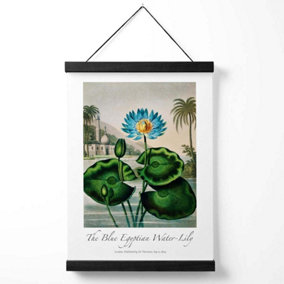 Vintage Floral Exhibition -  Egyptian Water Lily Medium Poster with Black Hanger