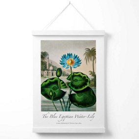 Vintage Floral Exhibition -  Egyptian Water Lily Poster with Hanger / 33cm / White