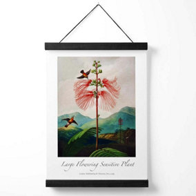Vintage Floral Exhibition -  Flowering Plant Medium Poster with Black Hanger